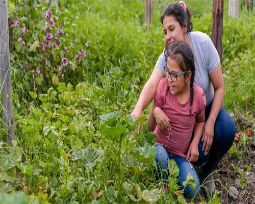 第二次胚胎移植成功率更高吗？